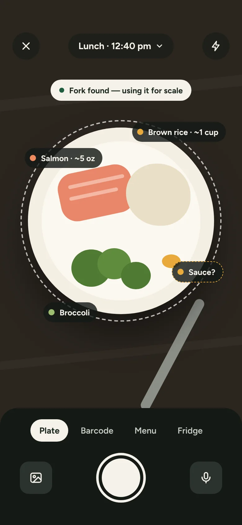 Camera view identifying salmon, brown rice and broccoli on a plate.